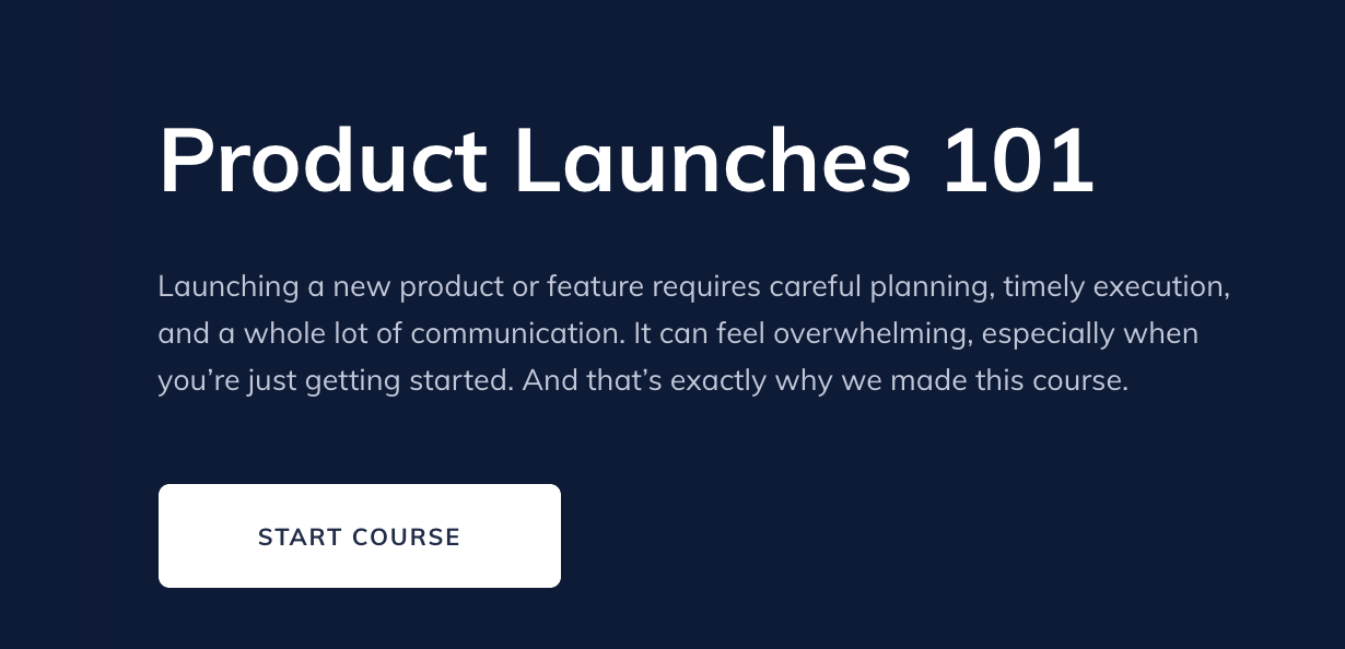 product launch guide